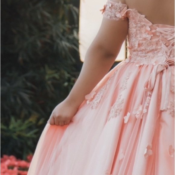 Quinceañera Dress- Formal gown-Blush Pink-PETTICOAT INCLUDED - Picture 3 of 7